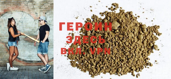 индика Вяземский