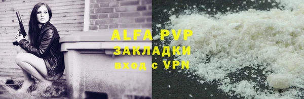 индика Вяземский