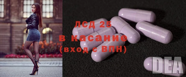 индика Вяземский