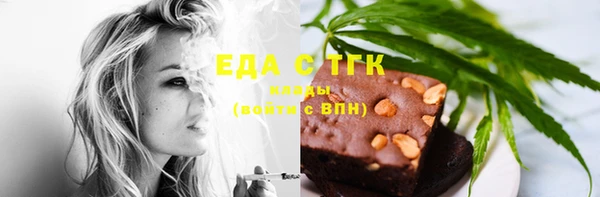 индика Вяземский
