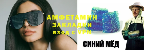 индика Вяземский
