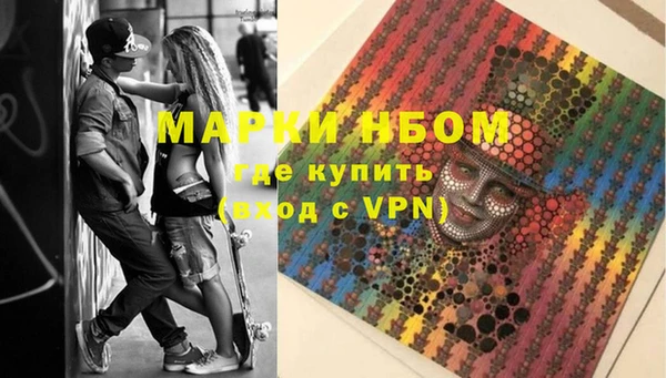 индика Вяземский