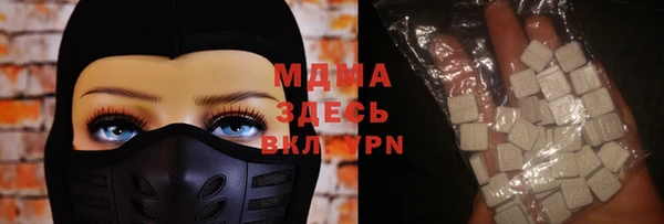 индика Вяземский