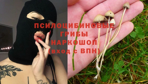 индика Вяземский