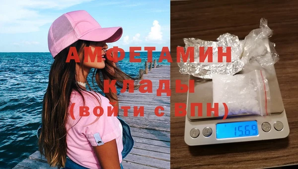 индика Вяземский