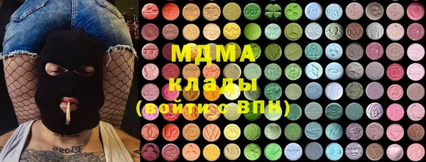 индика Вяземский