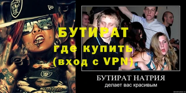 индика Вяземский