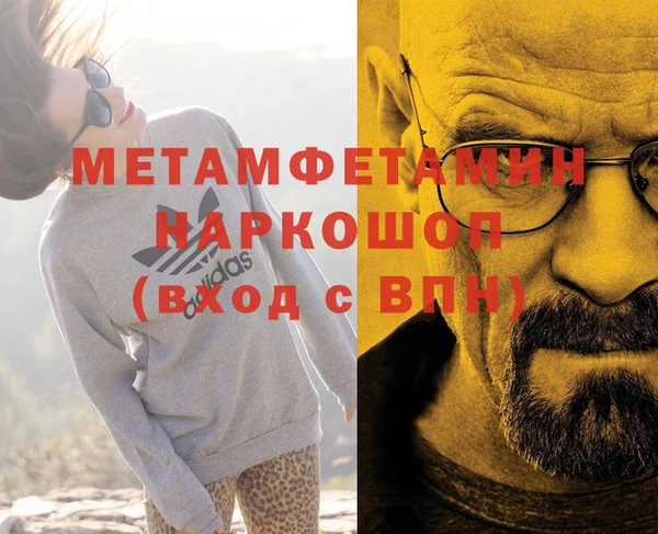индика Вяземский