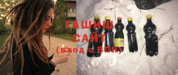 индика Вяземский