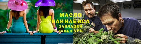 индика Вяземский