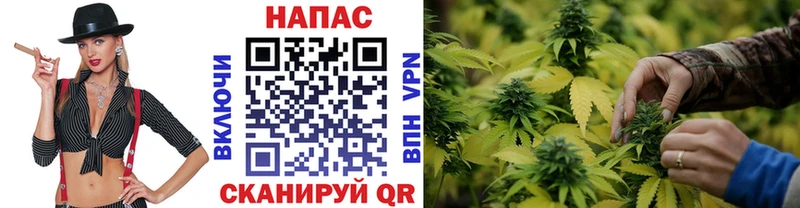 Шишки марихуана семена  Остров 